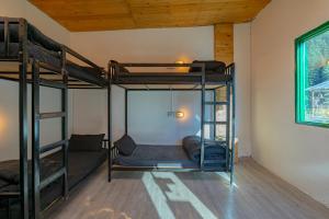 jungle hostel by whoopers
