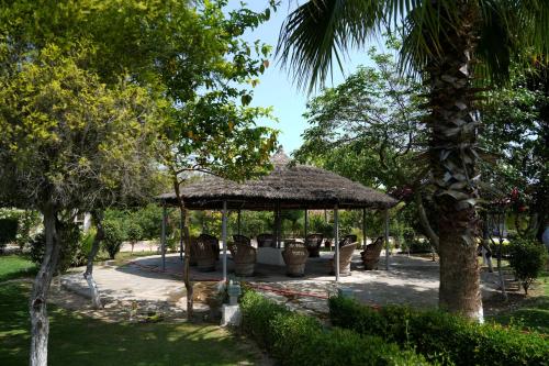 aa hotels and resorts chandigarh panchkula