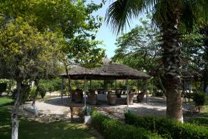aa hotels and resorts chandigarh panchkula