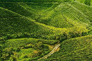 davids hotel apartment greenhill resort