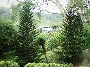 davids hotel apartment greenhill resort