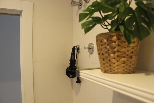 hotel boutique teatro romano