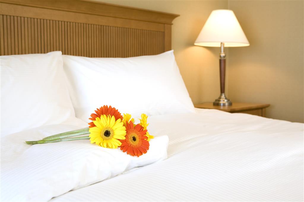 coast capri hotel