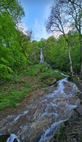 roomingtons alb laichingen