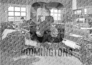 roomingtons alb laichingen