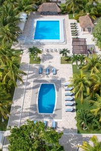 calypso hotel cancun