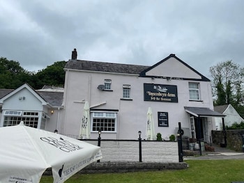 the ynyscedwyn arms hotel