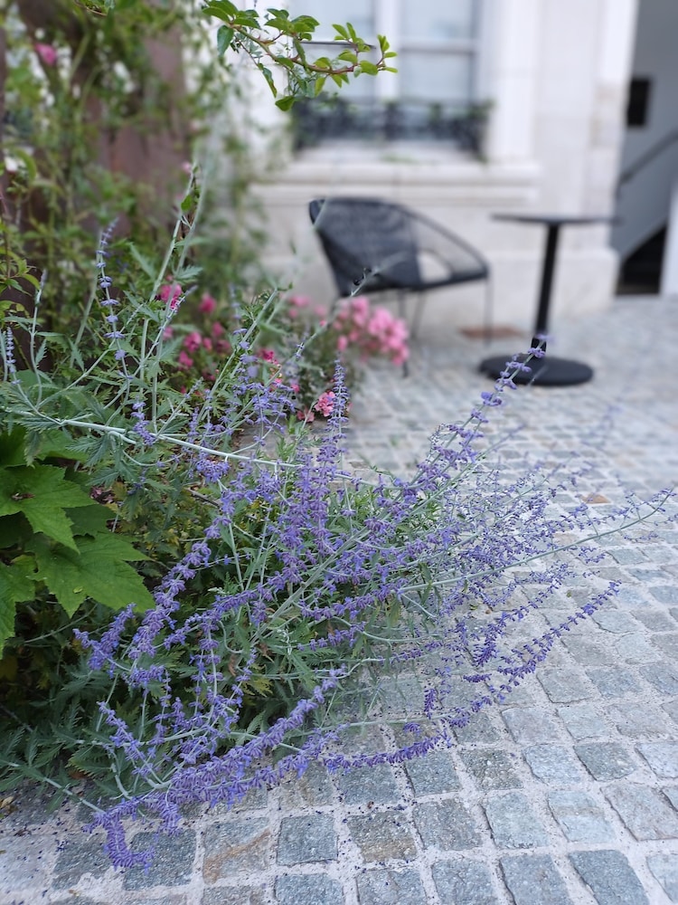 hotel loysel le gaucher