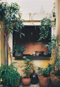 shila athens