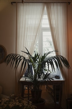 shila athens
