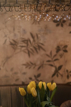 shila athens