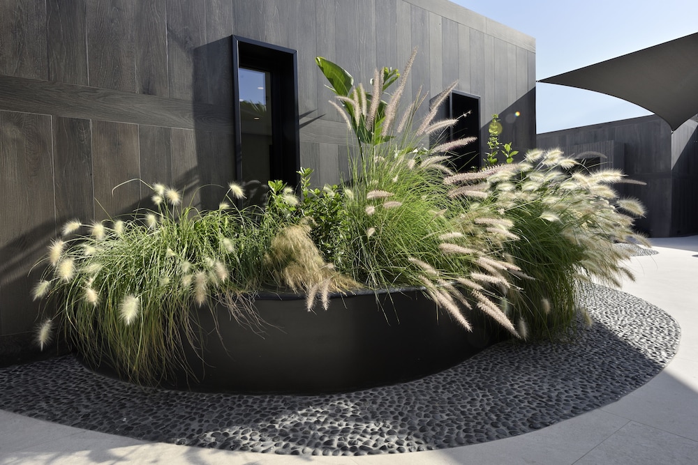 aeonic suites and spa