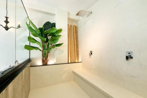 athens ivy suites