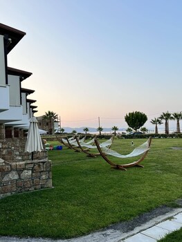 aristotelis