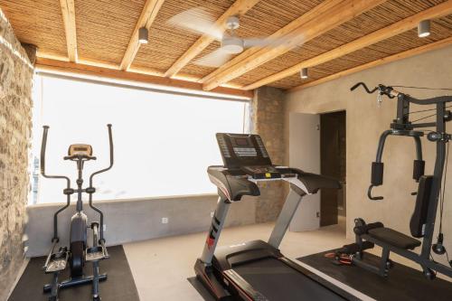 aegean hospitality mykonos