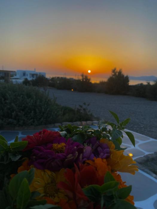 aegean hospitality mykonos