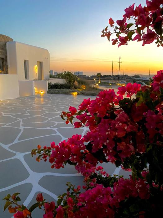 aegean hospitality mykonos