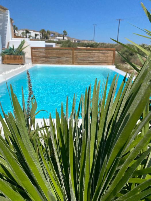 aegean hospitality mykonos