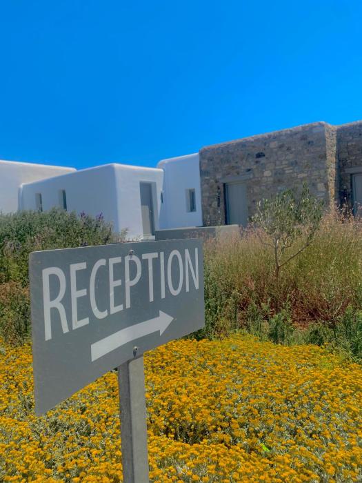 aegean hospitality mykonos