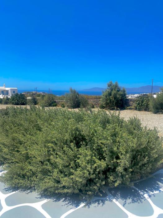 aegean hospitality mykonos