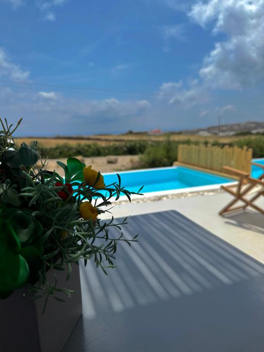 aegean hospitality mykonos