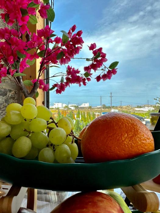 aegean hospitality mykonos