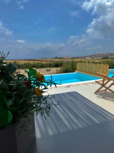 aegean hospitality mykonos