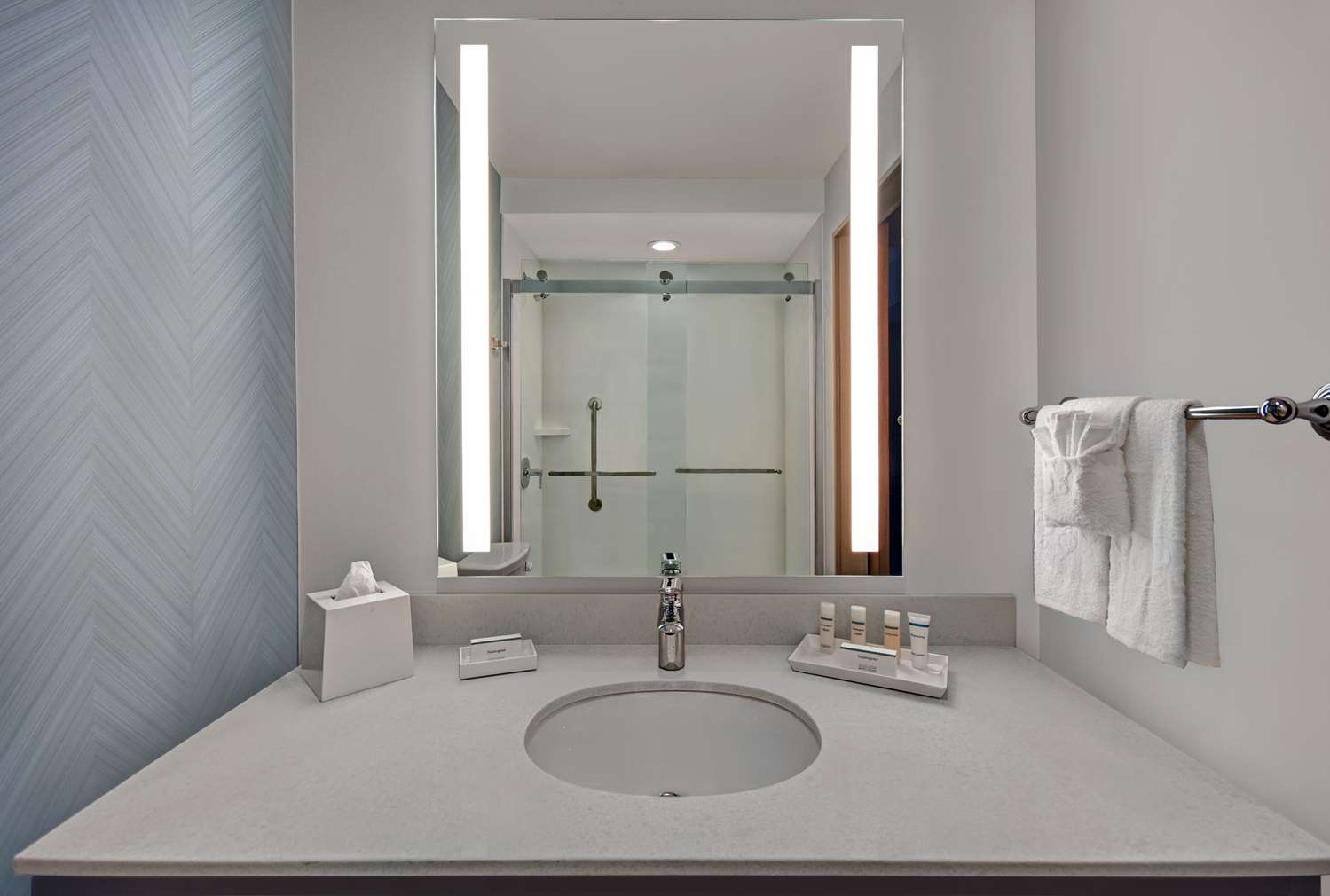 hilton garden inn houston medical center tx