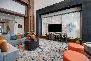 hilton garden inn houston medical center tx