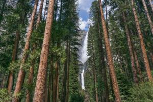 fairfield inn and suites oakhurst yosemite