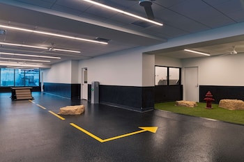 thompson austin part of hyatt