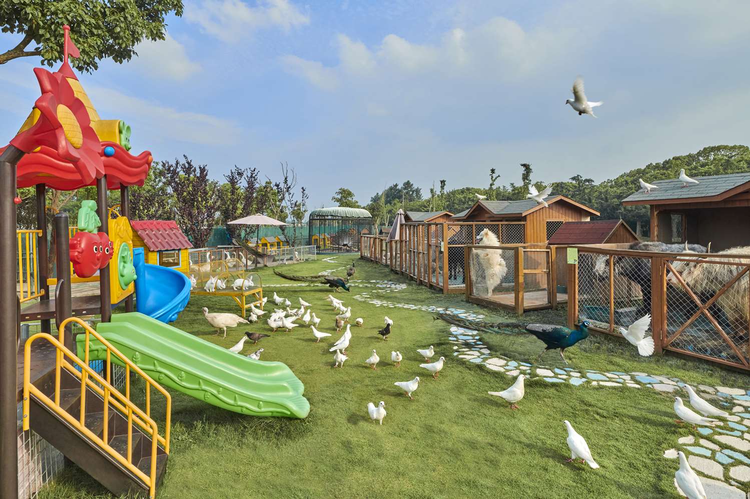 hilton shanghai fengxian