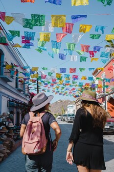 Paradero Todos Santos - Exclusive Experiences,El Pescadero>>Cabo San Lucas,4 star