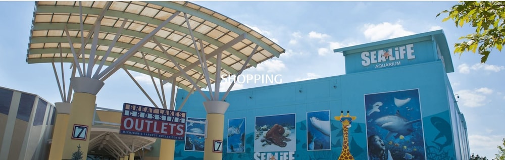 comfort inn and suites