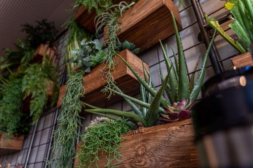 me and all hotel ulm part of jdv by hyatt