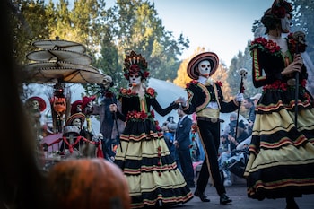 Holiday Inn Express Offenburg, An Ihg Hotel,Offenburg>>Baden-Württemberg,3.5 star