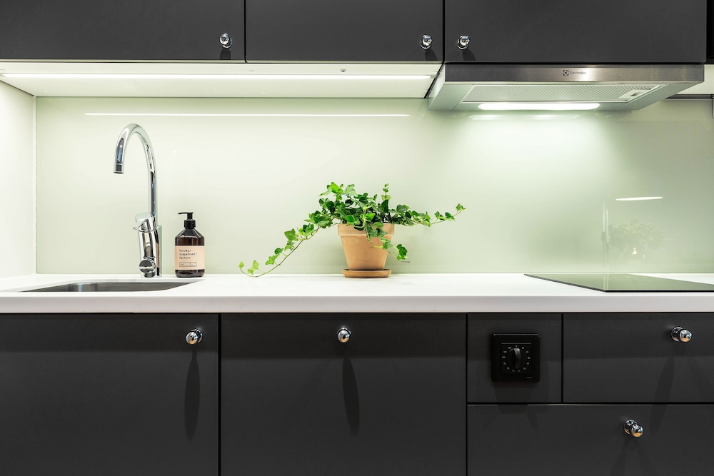 biz apartment bromma