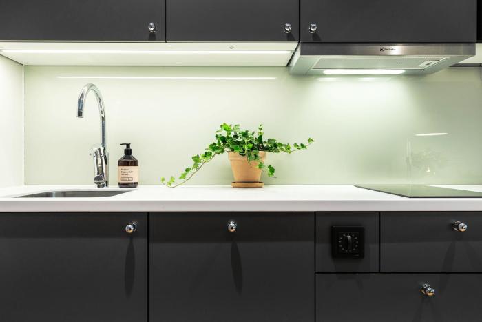 biz apartment bromma