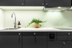 biz apartment bromma