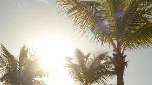 secrets riviera cancun all preferred adults only