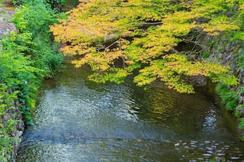 roku kyoto lxr hotels and resorts