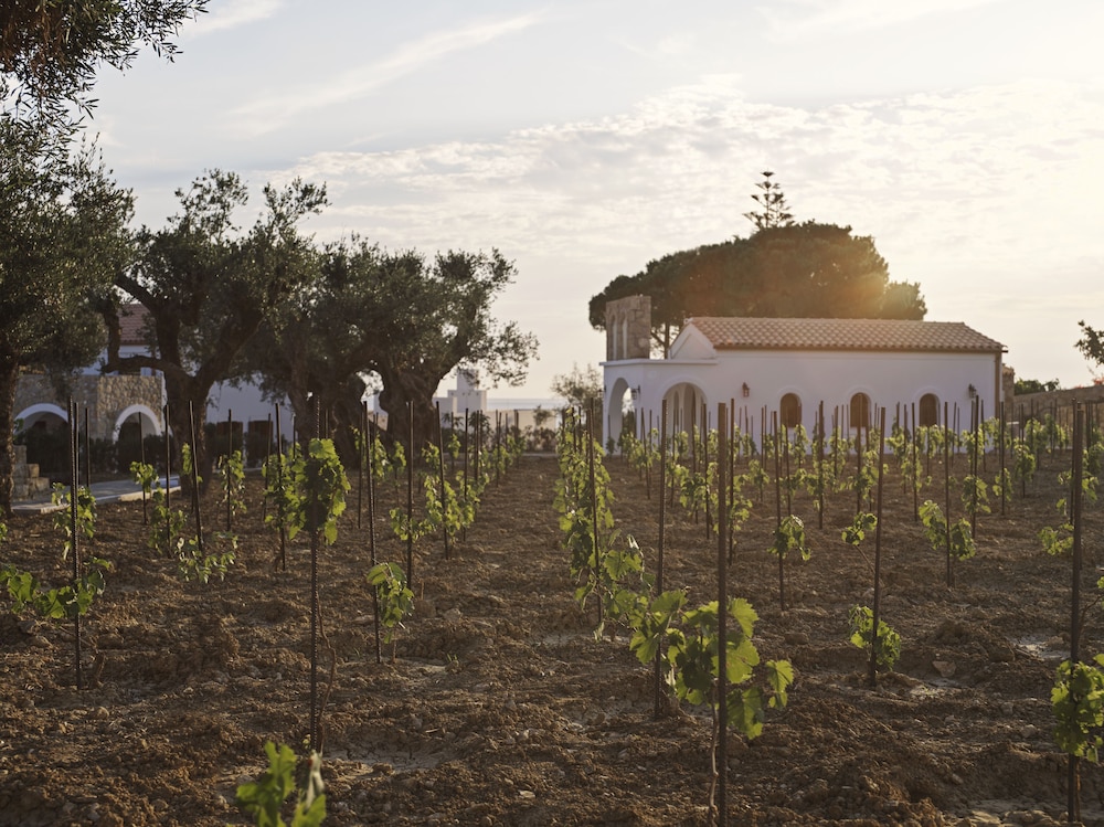 lesante cape resort and villas
