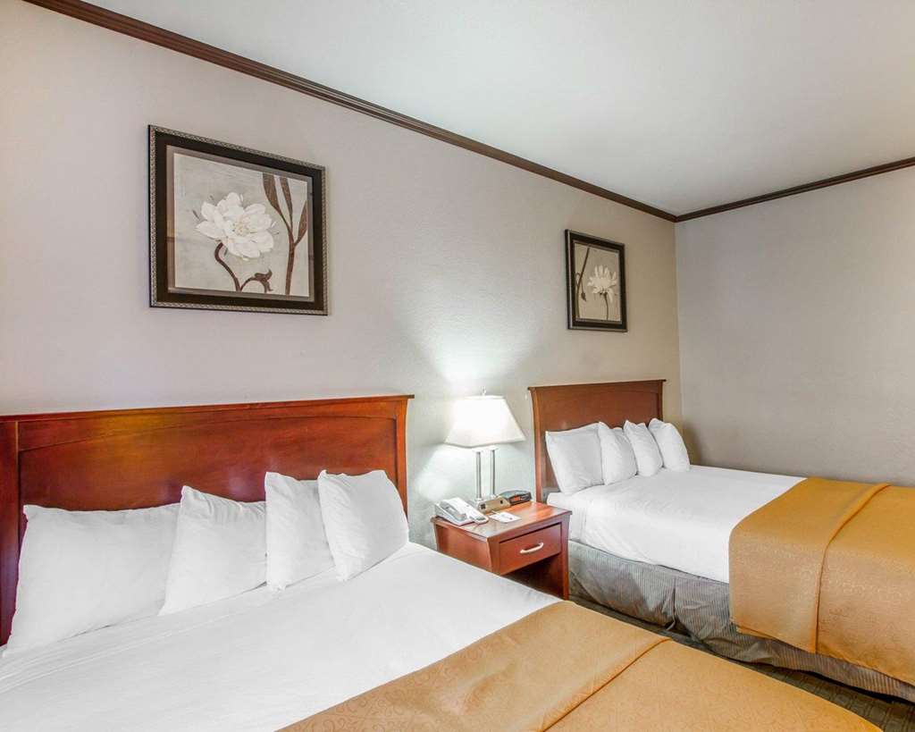 quality inn chandler