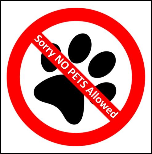 basecamp suites canmore