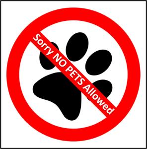 basecamp suites canmore