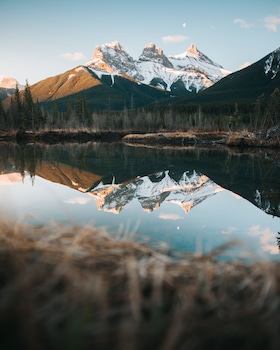 basecamp suites canmore