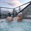basecamp suites canmore
