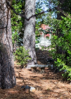 inn at sugar pine ranch