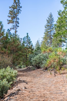 inn at sugar pine ranch