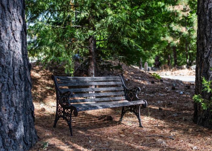 inn at sugar pine ranch